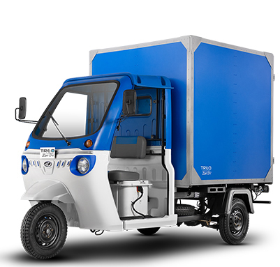 3W Cargo img 2